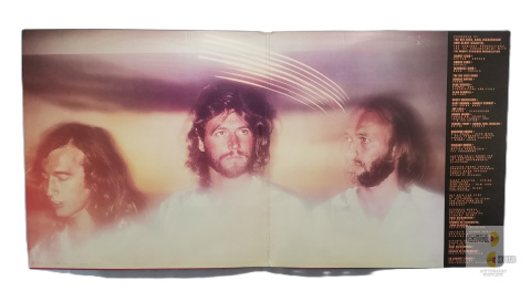 Bee Gees - Spirit Having Flown Bee Gees - Spirit Having Flown
