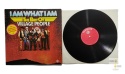 Village People - I am what I am