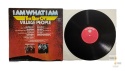 Village People - I am what I am