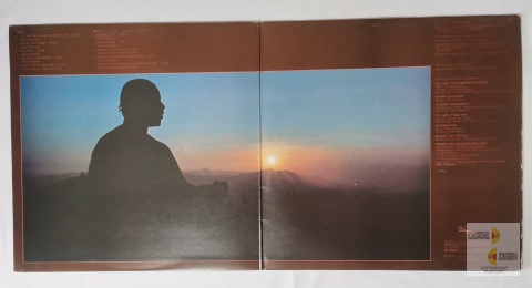 Stevie Wonder - Talking Book