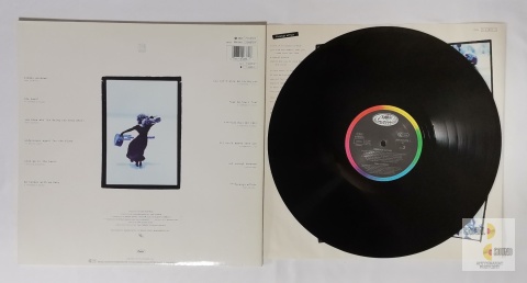 Tina Turner - Foreign Affair