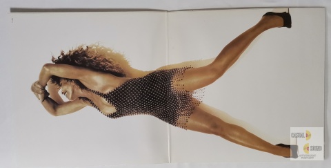 Tina Turner - Foreign Affair