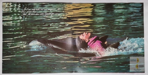 Olivia Newton - John - Phisical